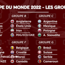 Coupe Du Monde 2022