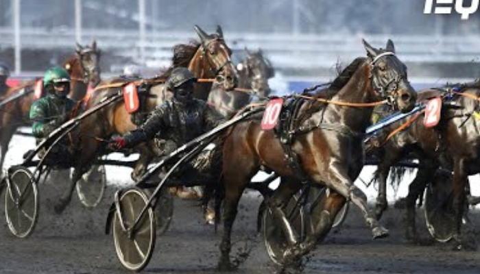 Pronostic Pmu Quinté Du Jou