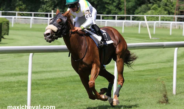 Super Gagnant Turf (1)