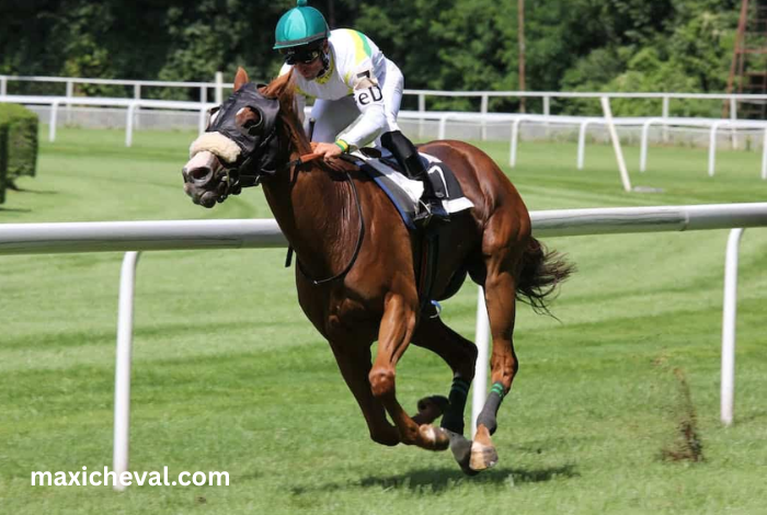 Super Gagnant Turf (1)