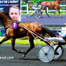 8 Chevaux Turf Magique