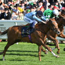 Les Leaders Turf