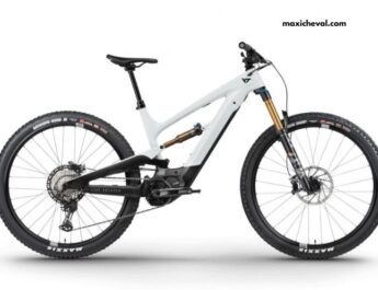 Xxl Pro 2021