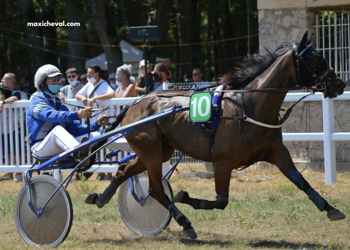 Formule Sur Pmu