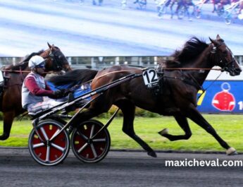 Le Trio Gagnant Du Jour (1)