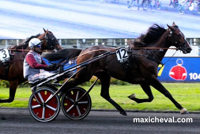 Le Trio Gagnant Du Jour (1)