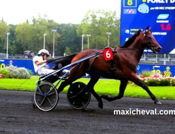 Meilleur Pronostic 3 Chevaux (1)