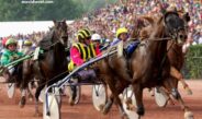 Meilleurs Pronostics Quinté Demain (4)