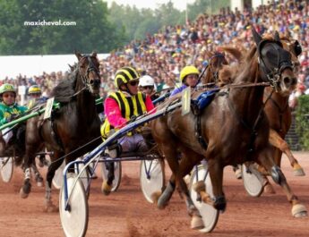 Meilleurs Pronostics Quinté Demain (4)