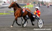 Programme Pmu DE Demain Lonab Pronostics (1)