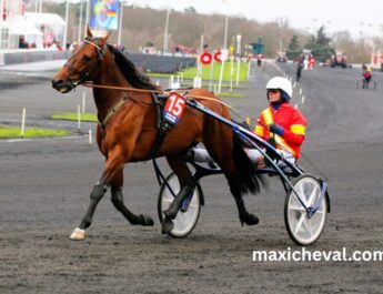 Programme Pmu DE Demain Lonab Pronostics (1)