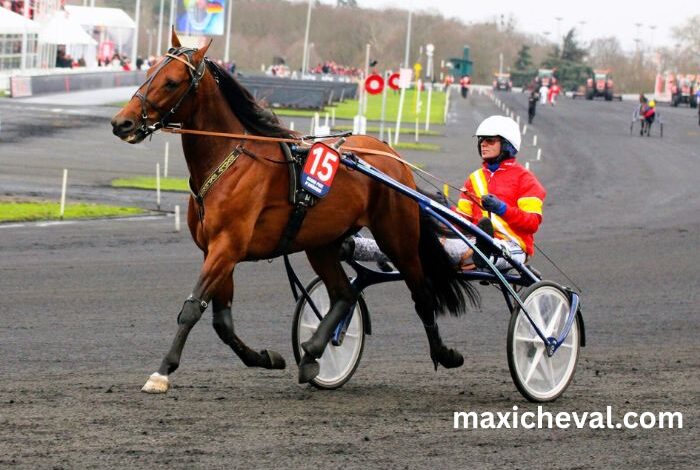 Programme Pmu DE Demain Lonab Pronostics (1)