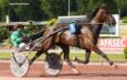 Prono Logique Turf