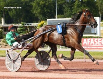 Prono Logique Turf