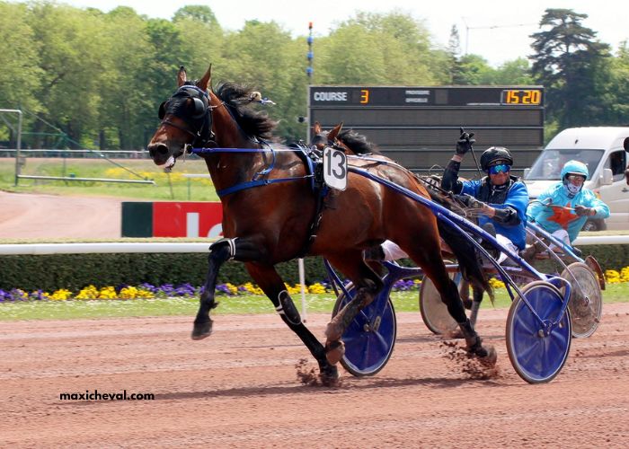 Tierce 100 Gagnant