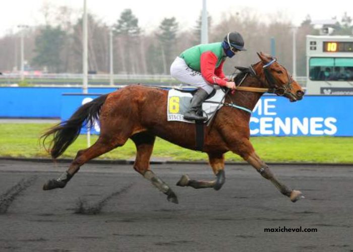 Ordre Tiercé VIP is a top-tier strategy in horse racing predictions that helps bettors achieve consistent wins through accurate trio betting combinations.