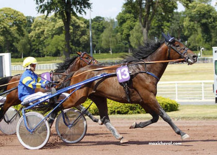 Pronostic Quinte Plus