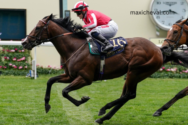 Ordre Tiercé VIP is a top-tier strategy in horse racing predictions that helps bettors achieve consistent wins through accurate trio betting combinations.