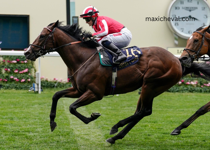 Ordre Tiercé VIP is a top-tier strategy in horse racing predictions that helps bettors achieve consistent wins through accurate trio betting combinations.