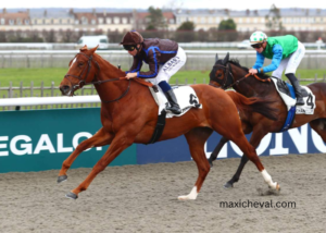 Programme Pmu DE Demain