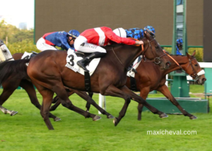 Pronostic Pmu Quinté Du Jour