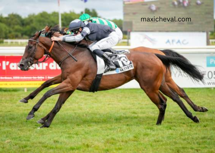 Somboturf Gagnant 1