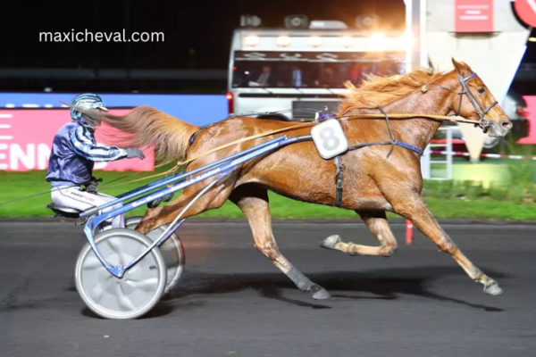 Champion Des Courses