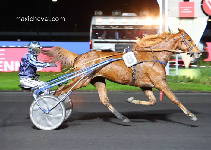 Champion Des Courses