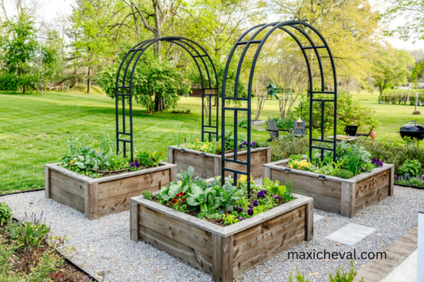 Transform Your Space: Expert Home & Garden Tips for Every Season