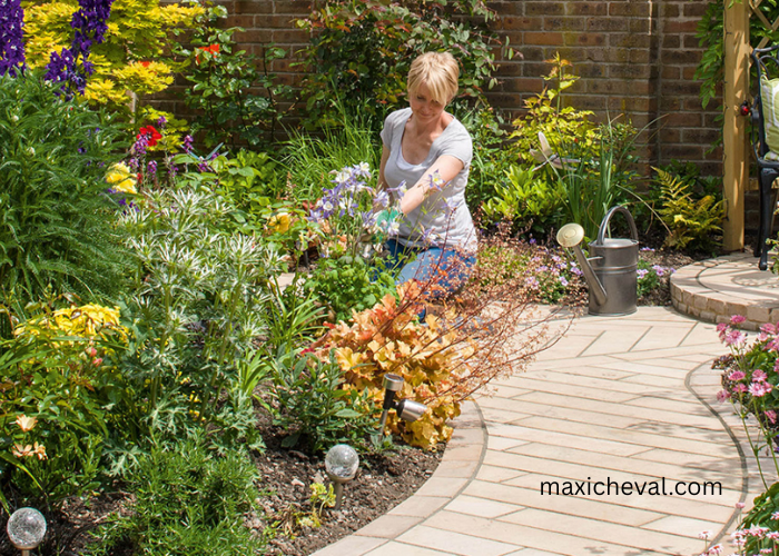 Unleash Your Creativity: Home & Garden Ideas for Every Budget