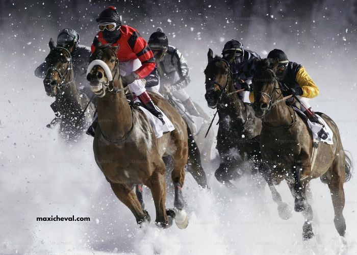 Club Hippique Gagnant