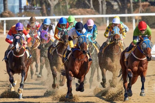Derniere Minute Turf