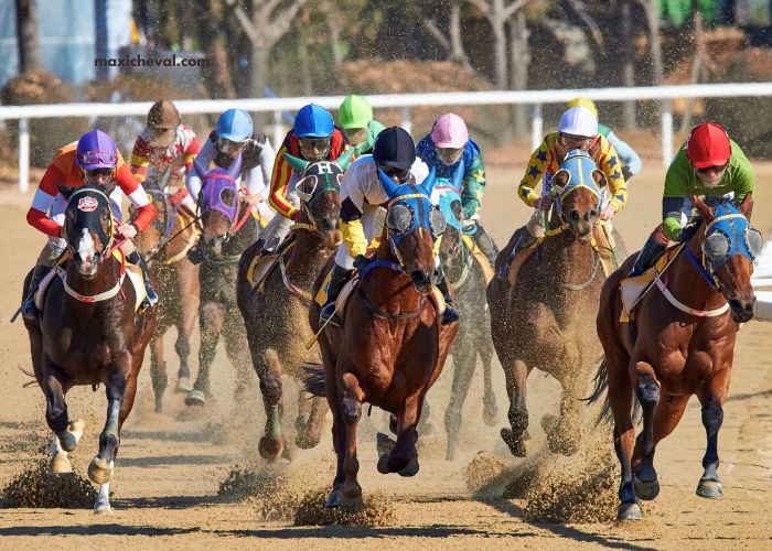 Derniere Minute Turf