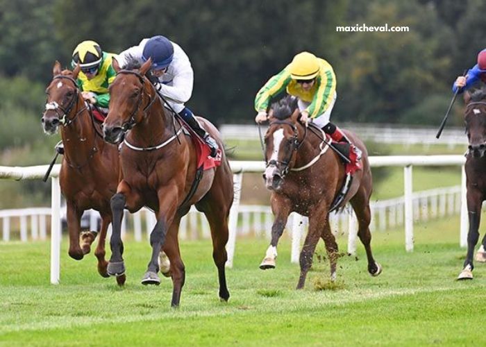 Duel Du Trio Gagnant