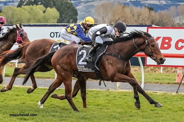 France Turf Vip