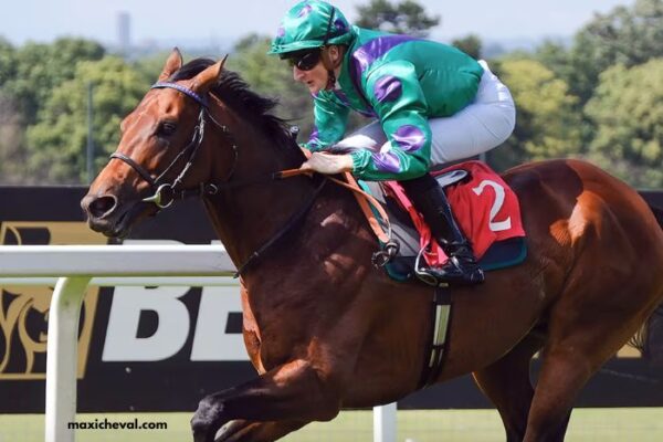 LA Voyeuse Turf
