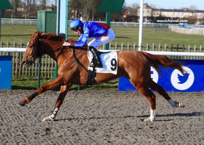 Lavoyeuse Pronostic en OR