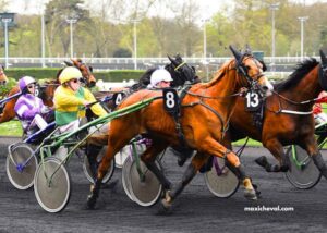 Le ROI du Turf