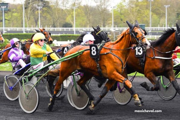Le ROI du Turf