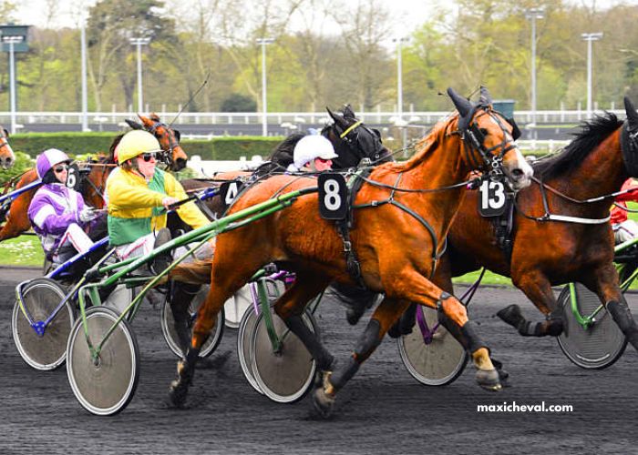Le ROI du Turf