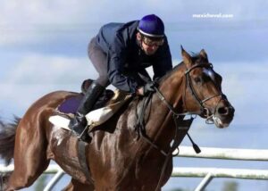 Le Sauveur Turf