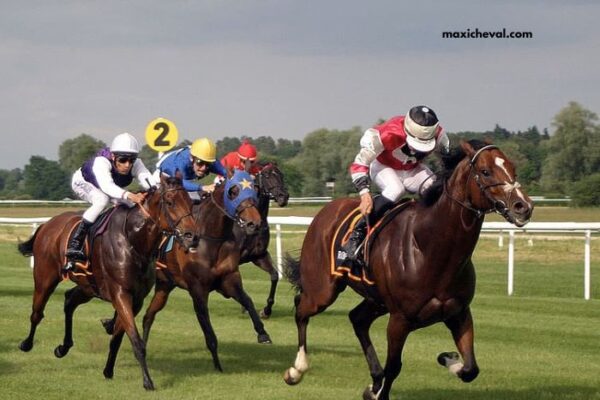 Pronostic Gratuit Turf