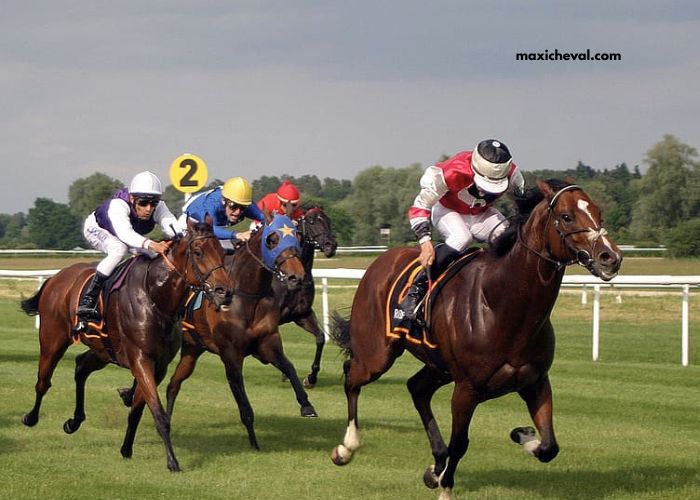Pronostic Gratuit Turf