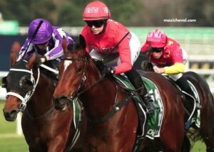 Turf DE France