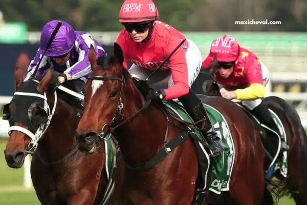 Turf DE France