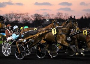 Turf Pronostic 7