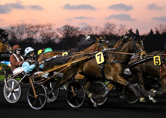 Turf Pronostic 7