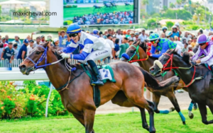 mystere hippique les duels