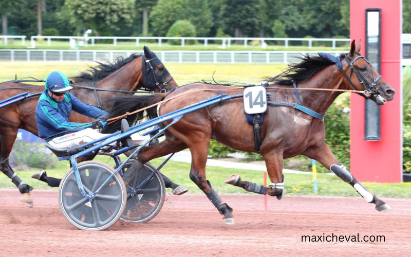 stratégie turf